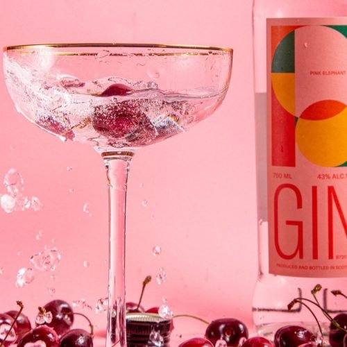 96PINK+ELEPHANT+GIN+_+WIDE+WING+SHOOTS